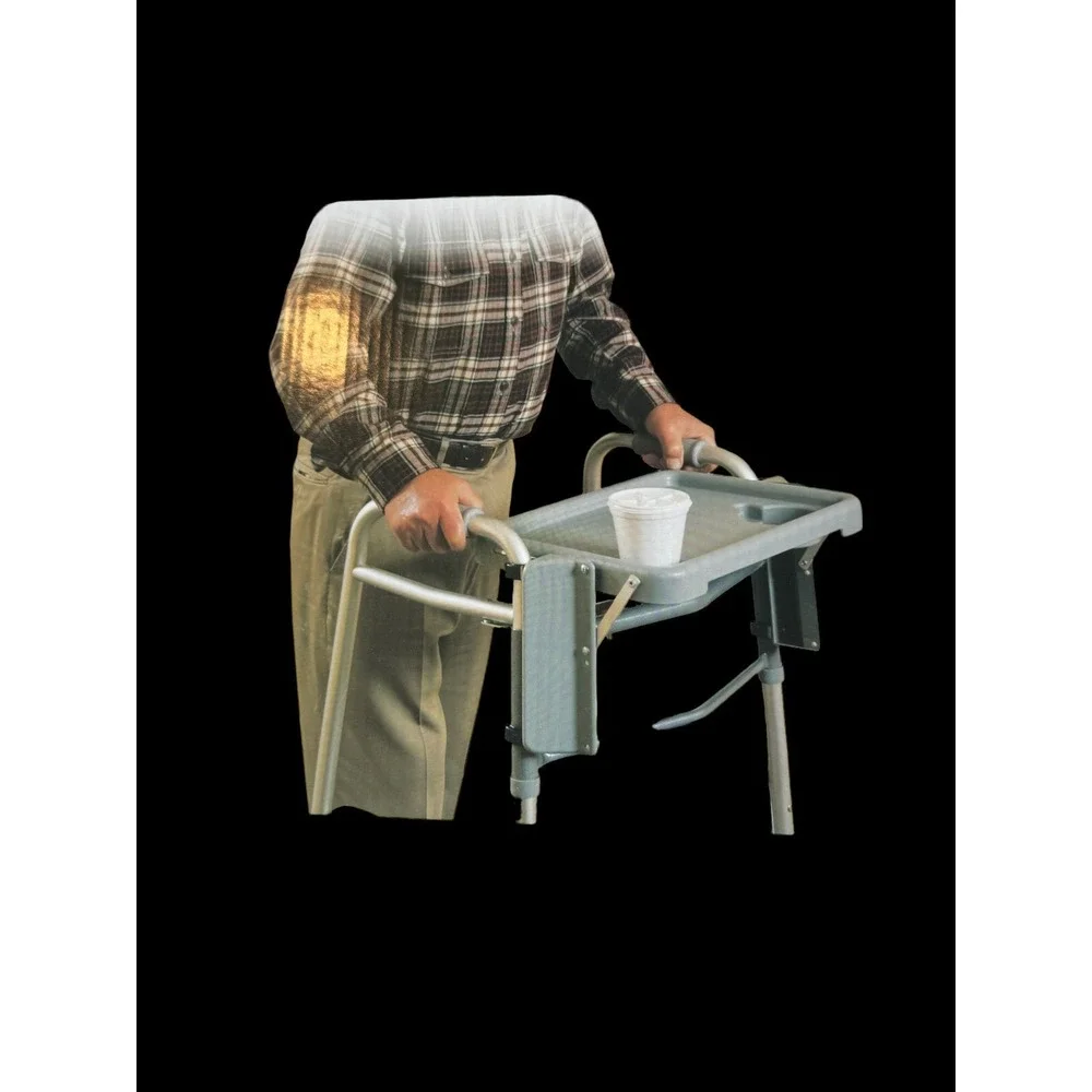 Drive tray fits